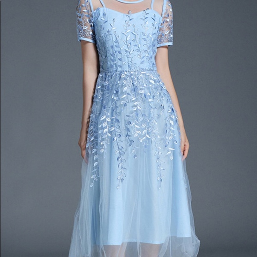 Sky Blue Embroidered Floral Dress